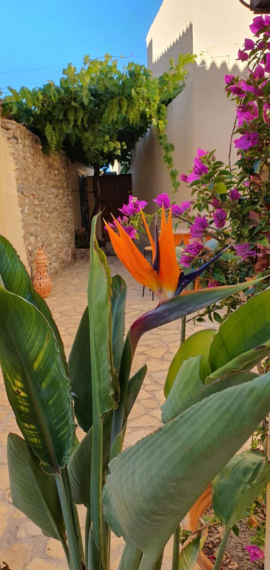 El Jardin Secreto Apartman Oria Kültér fotó